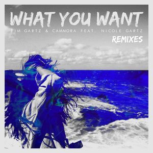 What You Want  (Mulshine Remix)