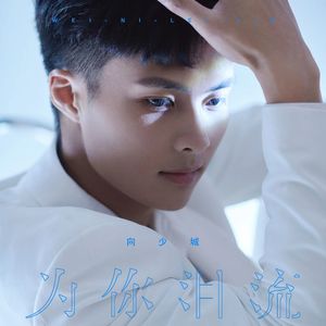 为你泪流（DJ沈念版）