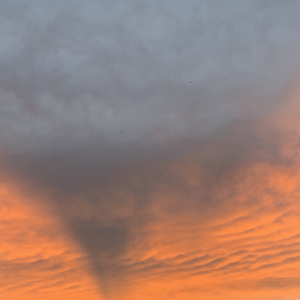 这爱的城市虽然拥挤