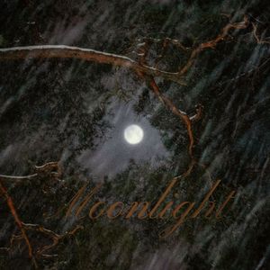 Moonlight (Prod. muzcean)