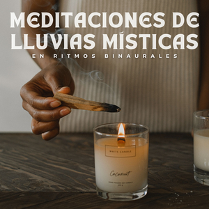 Melodía Mística De Bosque Lluvioso