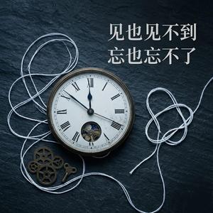 见也见不到忘也忘不了 不了