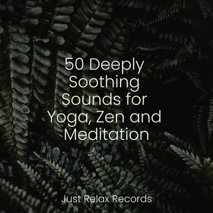 Echoes of the Valiant Journey