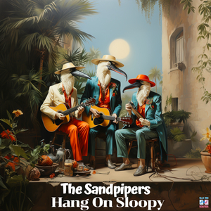 Hang On Sloopy (Sped up + Reverb)