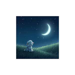 틱톡 라이키 인스타