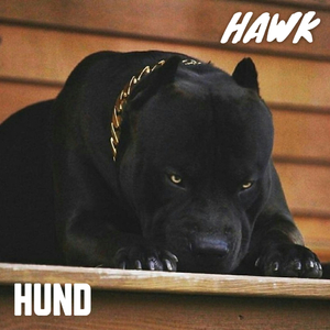 HUND (INTRO)