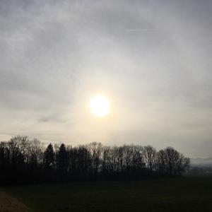 Stimmungen (7) Monochord