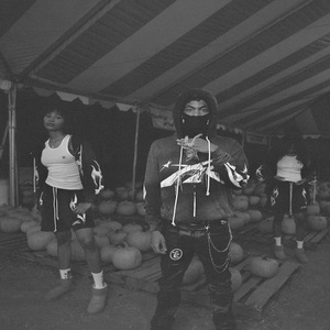 EVIL PINK DREADS (OG)