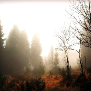 훈훈한 마음 : 조용한 선율