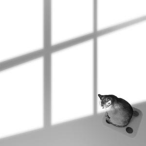 自得其爱 Prod.Soulbii