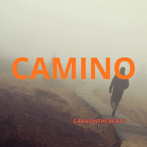Camino