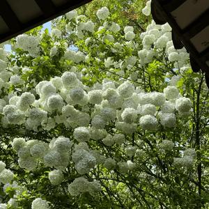 你说过会给我永远的爱