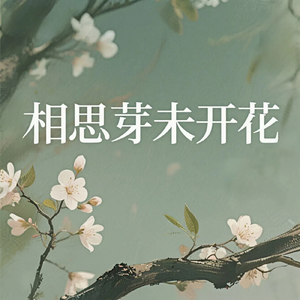 相思芽未开花