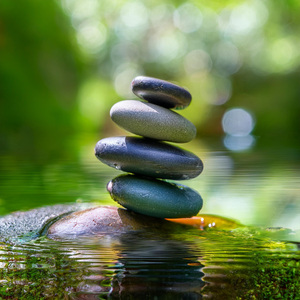 El Ritmo Del Alivio Tranquilo