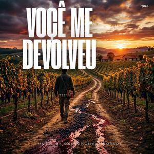 Você Me Devolveu
