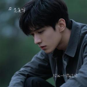 给我一个理由忘记 (Cover A-Lin)