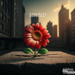 Flower In the Silence