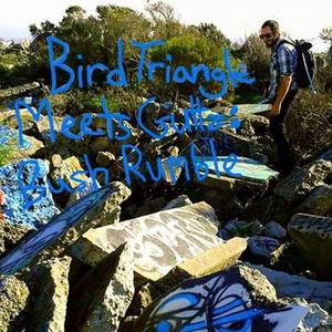 SoulCatcher (feat. Bird Triangle)