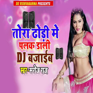 Tora Dhodi Me Palak Dali DJ Bajaib