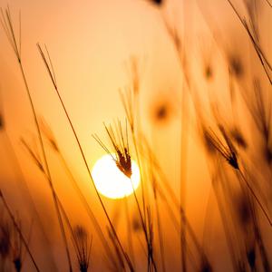 任性（钢琴版）