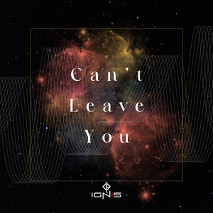 Can't Leave You