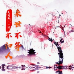 来世不等不归人