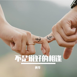 PetalStudio-不是说好的相逢_20231118_140519