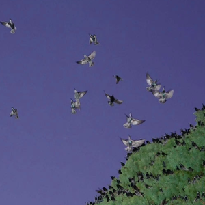 [FREE]"Wine"Luh Kel X Lil Tjay Type Beat