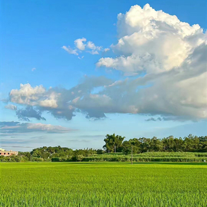 爱与遗憾完整版