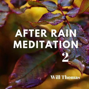After Rain Mediation, Vol. 2