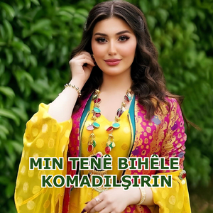 Tenê Bêhnteng Nebin
