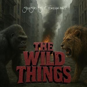 Wild things (feat. Foreign mack)