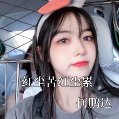 小鹏主场 (DJ版)