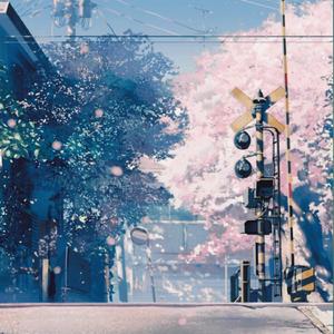 that one night in shinjuku