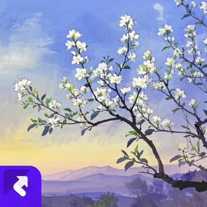 时光的风 (Remix)