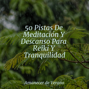 La Última Sinfonía del Crepúsculo