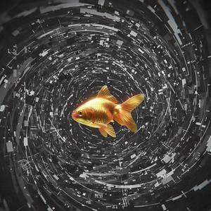 Эффект золотой рыбки "чехАрда"