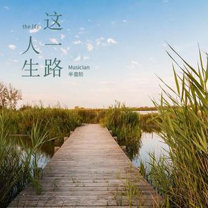 人生这一路