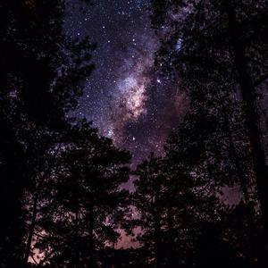 Longing for the past