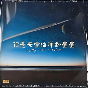 你是天空海洋和星星