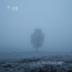 冷冷的风吹过没你的冬 (Cover 窝窝)