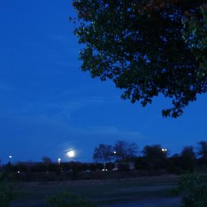 there is no tomorrow