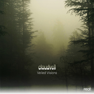 Veiled Visions