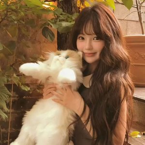 秋天再无你的身影