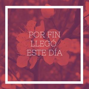 Por fin llegó este día