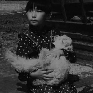 HIGH FUCTIONING AUTISM