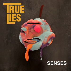 Senses