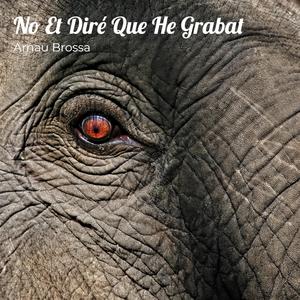 PopIt Squish (Figdet Toys)