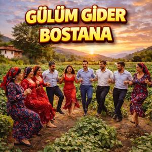 Gülüm Gider Bostana