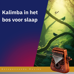 Geleide meditatie (Spiritueel)